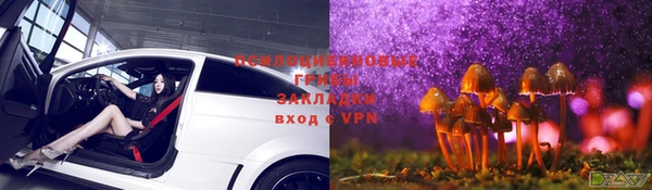 эйфоретик Апатиты