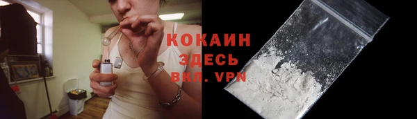 шишки Михайловка