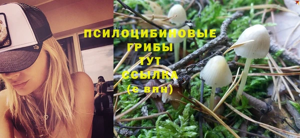 Альфа ПВП Михайловск