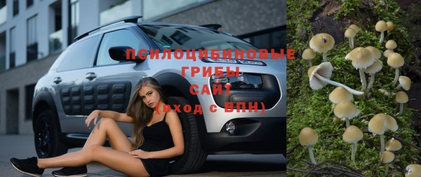 Альфа ПВП Михайловск
