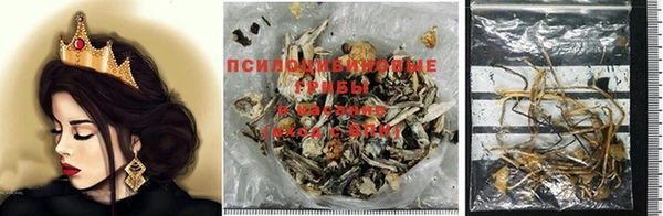 шишки Михайловка