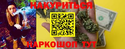 гидра Будённовск