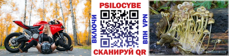 где продают наркотики  Волжский  Галлюциногенные грибы Cubensis 