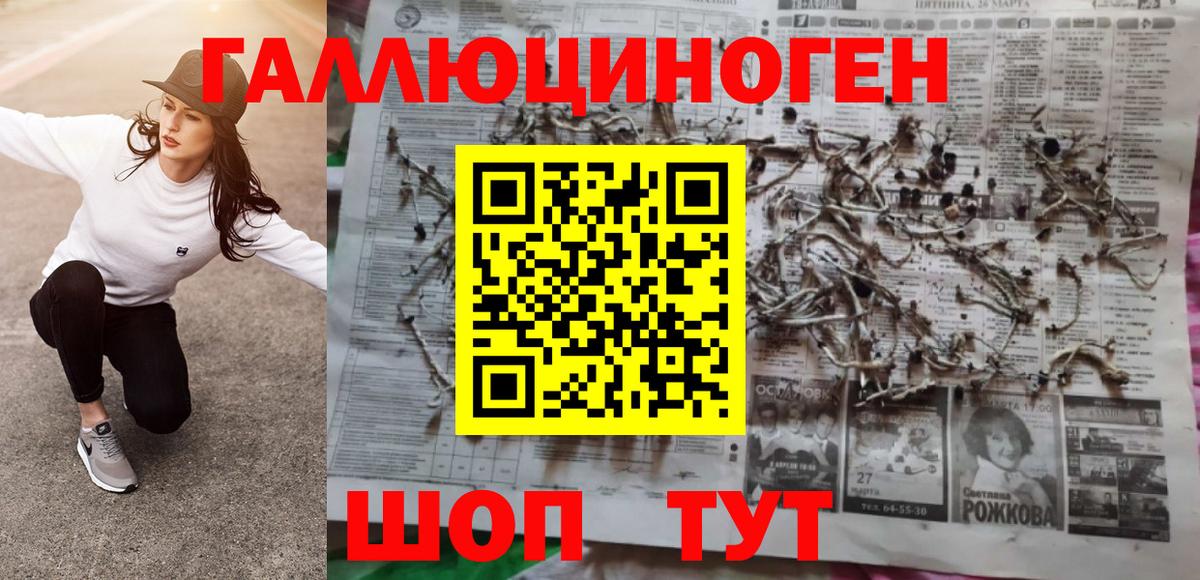 купить наркотики сайты  Волжский  Псилоцибиновые грибы прущие грибы 