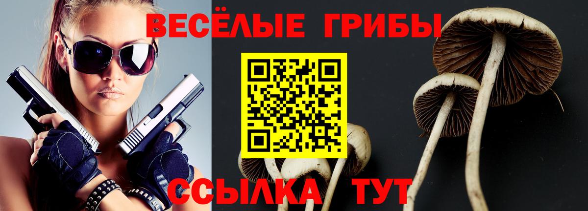 Галлюциногенные грибы ЛСД  купить наркоту  Вход с VPN  Волжский  Псилоцибиновые грибы Magic Shrooms 
